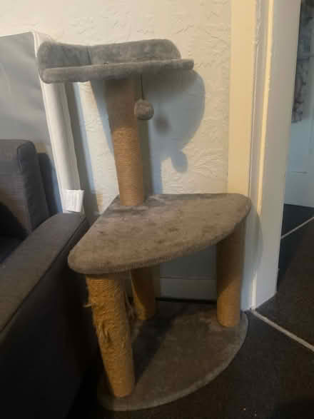 Photo of free Cat tree & cat scratching pole (Cardonald, Glasgow, G52) #1