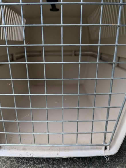 Photo of free kennel (Esperance) #4