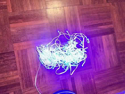 Photo of free Christmas decorations (EH4 Craigleith) #2