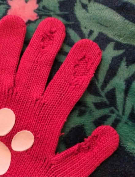 Photo of free Kids gloves paw patrol age 3-6 years (Kempston MK42) #2