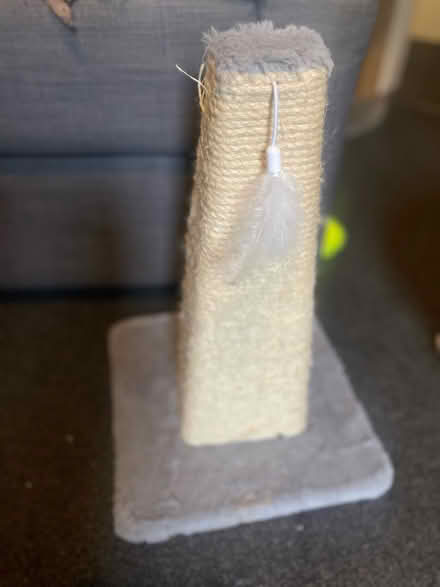 Photo of free Cat tree & cat scratching pole (Cardonald, Glasgow, G52) #2