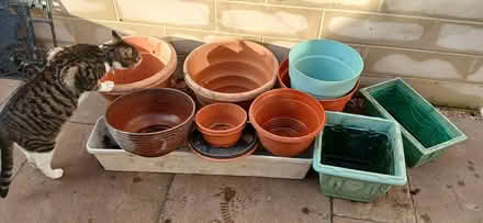 Photo of free Plastic garden pots (Odd Down) #1