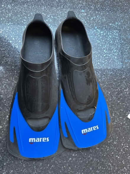 Photo of free Swim fins size 6-7 (Burpham, Guildford) #1