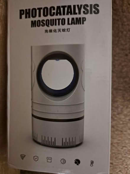 Photo of free Fruit fly and fly lamp (Southport PR8) #1