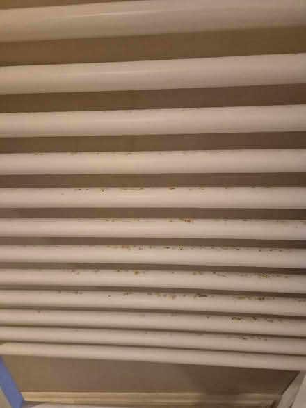 Photo of free Heated towel rail (Shap CA10) #2