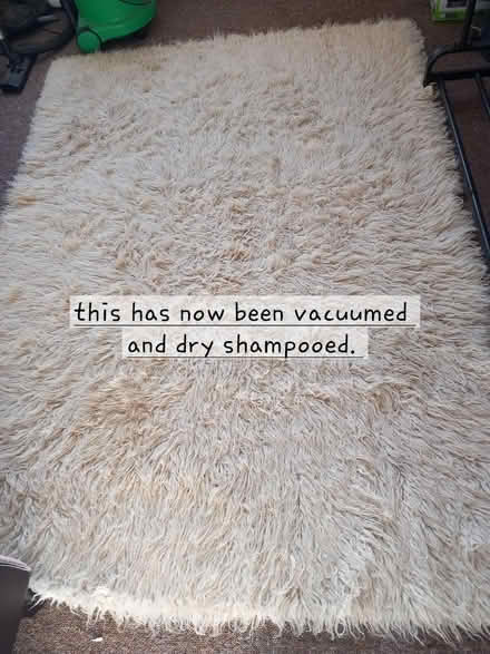 Photo of free White long haired rug 150cm x 207cm (IP1) #1