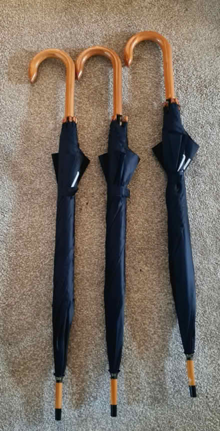 Photo of free 3 new navy umbrellas with logo (Purbrook) #1