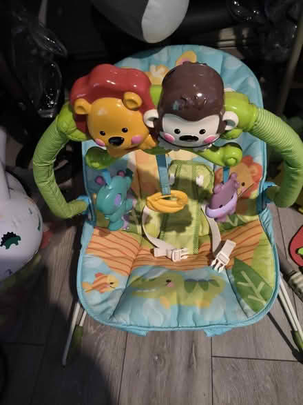 Photo of free Baby bouncer (Blackley M9) #2