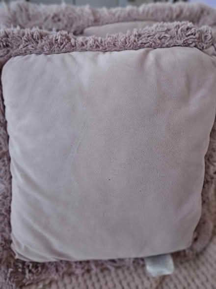 Photo of free 2x pink cushions (Willaston CH64) #1