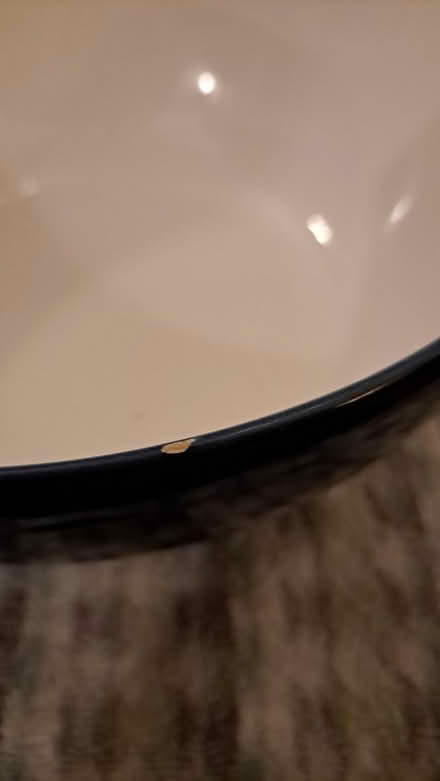 Photo of free Blue serving bowl (Littlehaven) #2