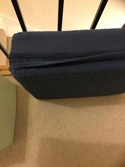 Photo of free Foam booster Cushion (Garden City OX5) #4