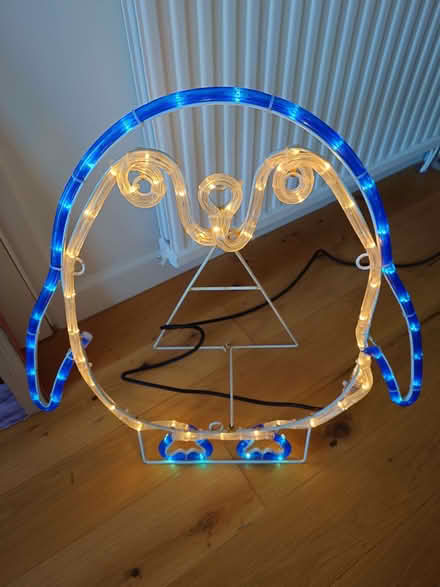 Photo of free Outdoor Christmas lights (Horndean PO8) #3