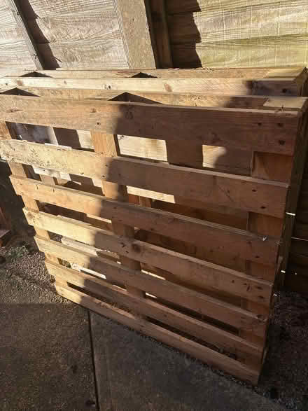 Photo of free Pallets (farmoor OX2) #1