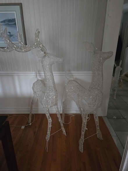 Photo of free Christmas deer (Britannia & Winston Churchill) #1