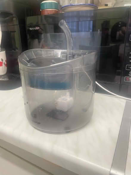 Photo of free Cat fountain (Hackney, E8) #1