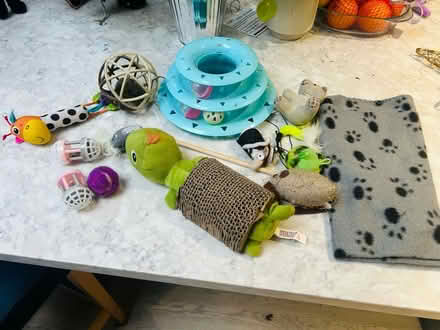 Photo of free Cat toys (Thornton Heath CR4) #1