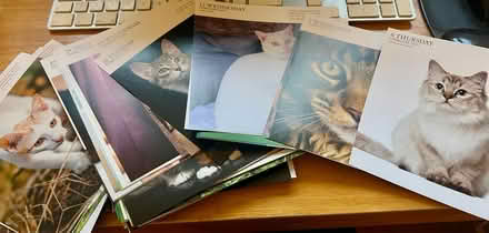 Photo of free Pages from 2025 cat calendar (OX3 Headington) #1