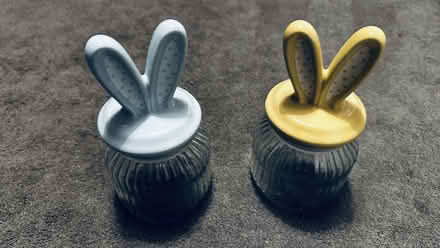 Photo of free Rabbit Jars (Wickford/Runwell SS11) #1