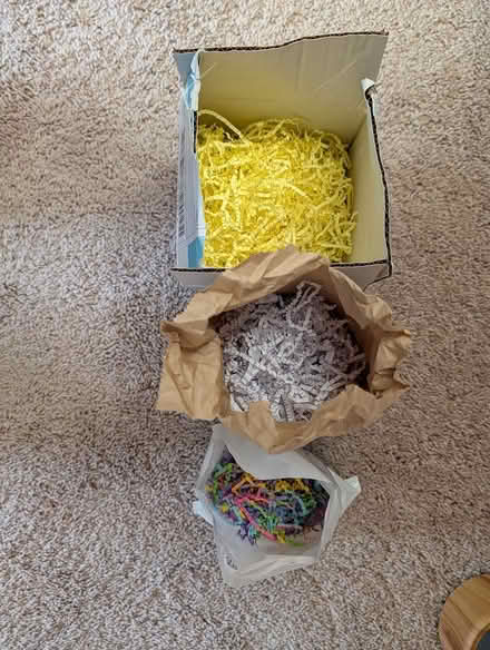 Photo of free Paper grass (Columbia, Clemens Crossing) #1