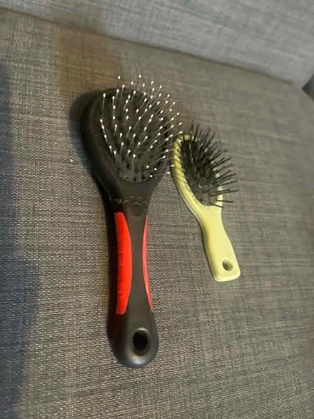 Photo of free 2 cat brushes (Cardonald, Glasgow, G52) #2