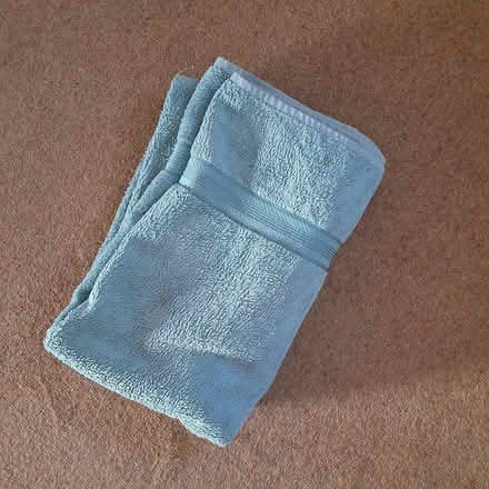 Photo of free Bath Sheet - ideal for large dog (Bedlington Station, NE22) #1