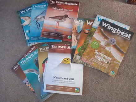 Photo of free RSPB magazines (Milton PO4) #1