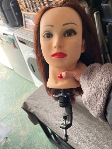 Photo of free Head of hair & clip (Hemel HP2) #1