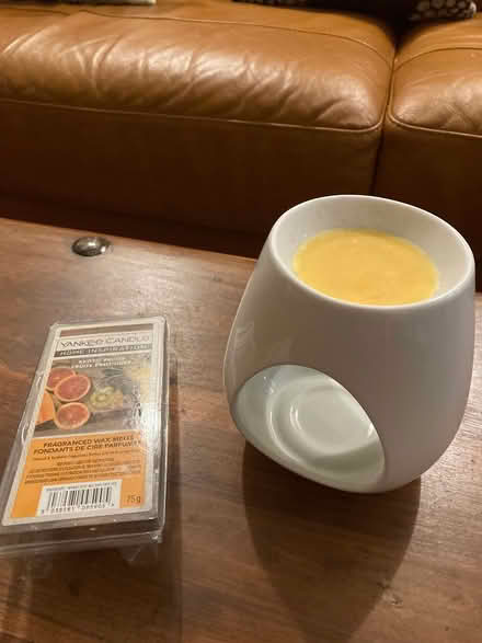 Photo of free candles and burner (Bookham KT23) #1