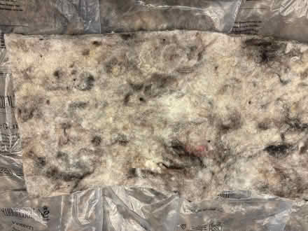 Photo of free Possible animal bedding (Troy Town ME1) #3