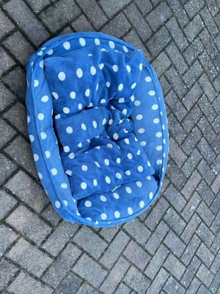 Photo of free Dog bed (Maulden MK45) #1