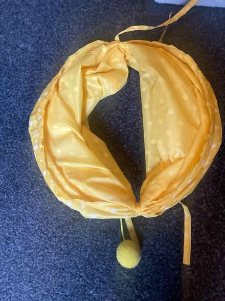 Photo of free 2 Cat tunnels (Cardonald, Glasgow, G52) #2