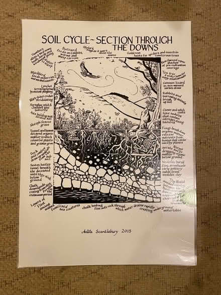 Photo of free 3 x A3 posters (Patcham BN1) #2