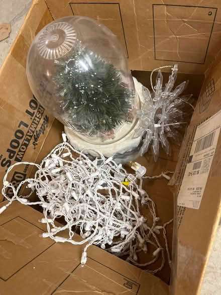 Photo of free Misc Christmas stuff (Wakefield) #1