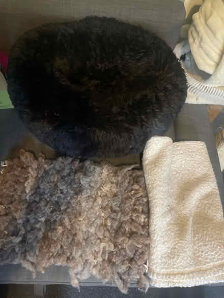 Photo of free Cat bedding (Cardonald, Glasgow, G52) #2