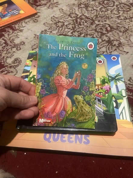 Photo of free Lady bird kids books good condi (AB21) #3