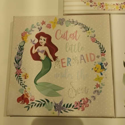 Photo of free 3 Disney Princess Wall Art (Northaw EN6) #3