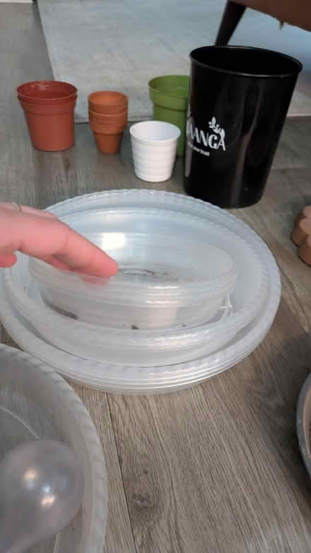 Photo of free Gardening bits (W3) #3