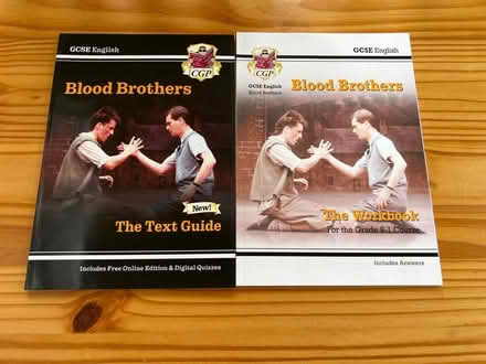 Photo of free GCSE Blood Brothers Guides (Basingstoke RG22) #1