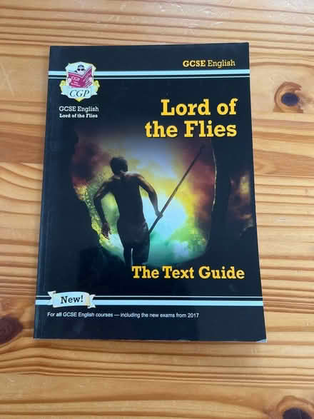 Photo of free GCSE Lord of the Flies Text Guide (Basingstoke RG22) #1