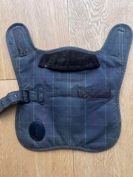Photo of free Dog coat XS (Dudbridge GL5) #2