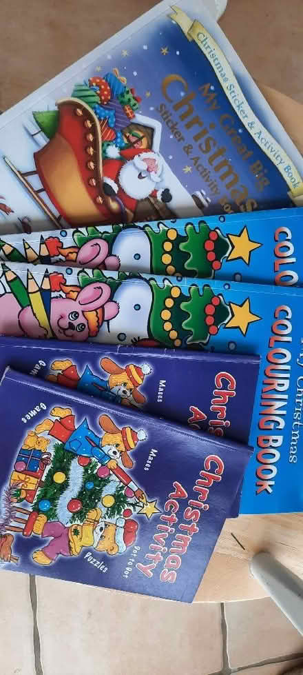 Photo of free Lightly used Christmas activity books (Old Woking GU22) #1