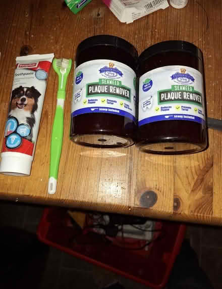 Photo of free Dog oral hygiene aids (South Green CM11) #1