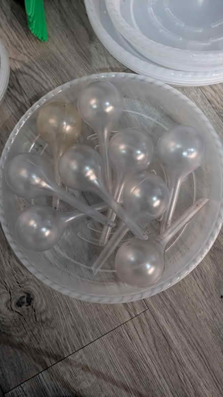 Photo of free Gardening bits (W3) #2