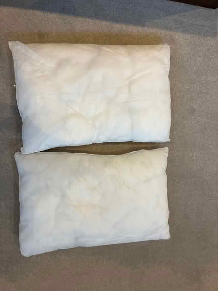 Photo of free Hollow fibre cushions (Lewes Nevill area) #1