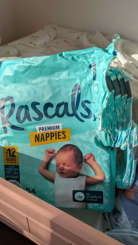 Photo of free Rascals size 1 nappies - ordered wrong size (Shuttington B79) #1
