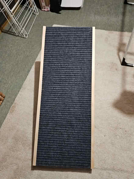 Photo of free Dog ramp (Mortimers Cross HR6) #2