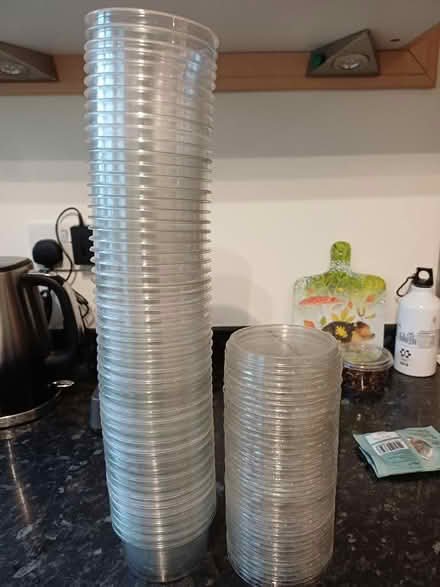 Photo of free Empty plastic houmous tubs with lids (Northcourt OX14) #2