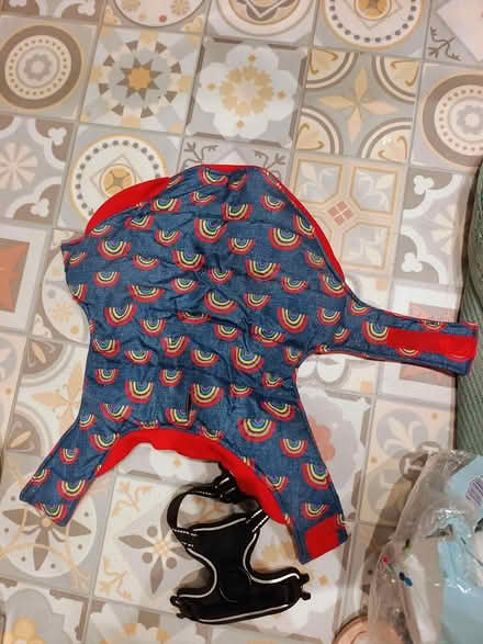 Photo of free Small harness and reversible coat (Teignmouth TQ14) #1