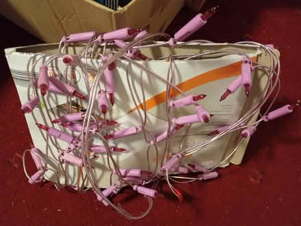 Photo of free Purple-ish fairy lights (Llanbister) #1