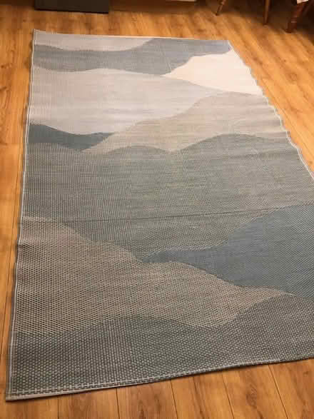 Photo of free floor mat (Delph OL3) #1